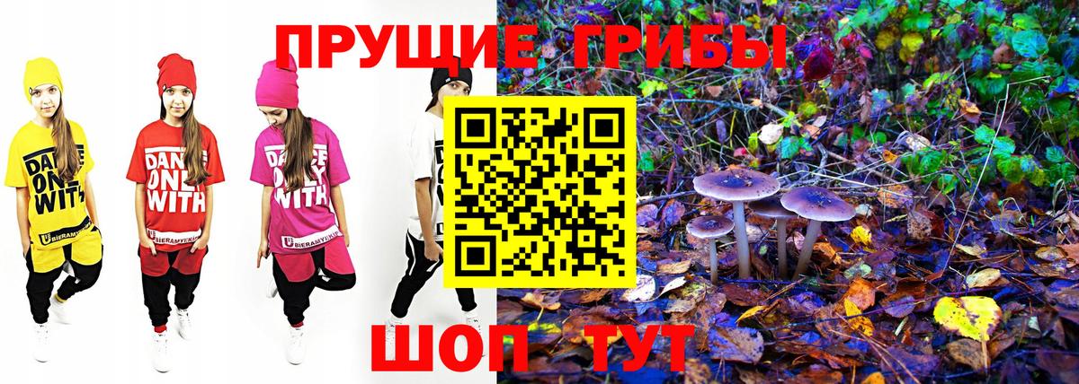 где можно купить наркотик  Галлюциногенные грибы мухоморы  Вход с VPN  Новокубанск  Галлюциногенные грибы мицелий 
