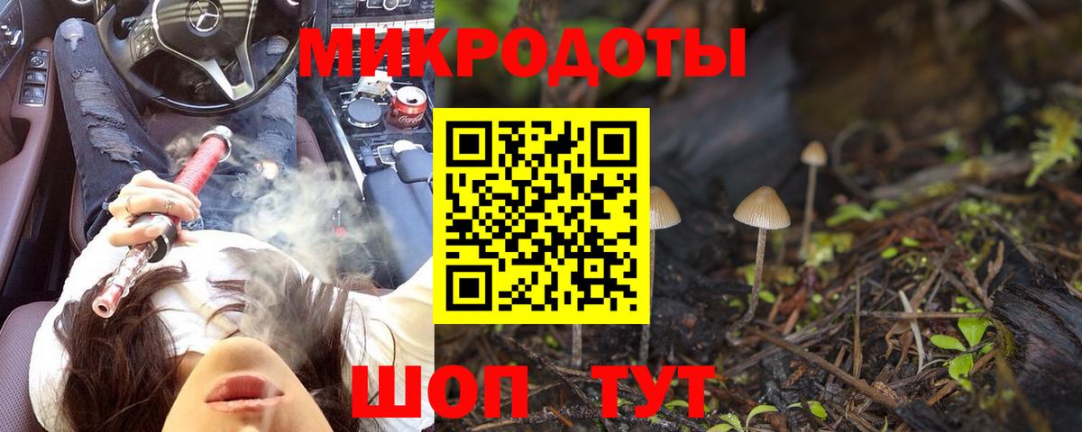 Галлюциногенные грибы Cubensis Новокубанск